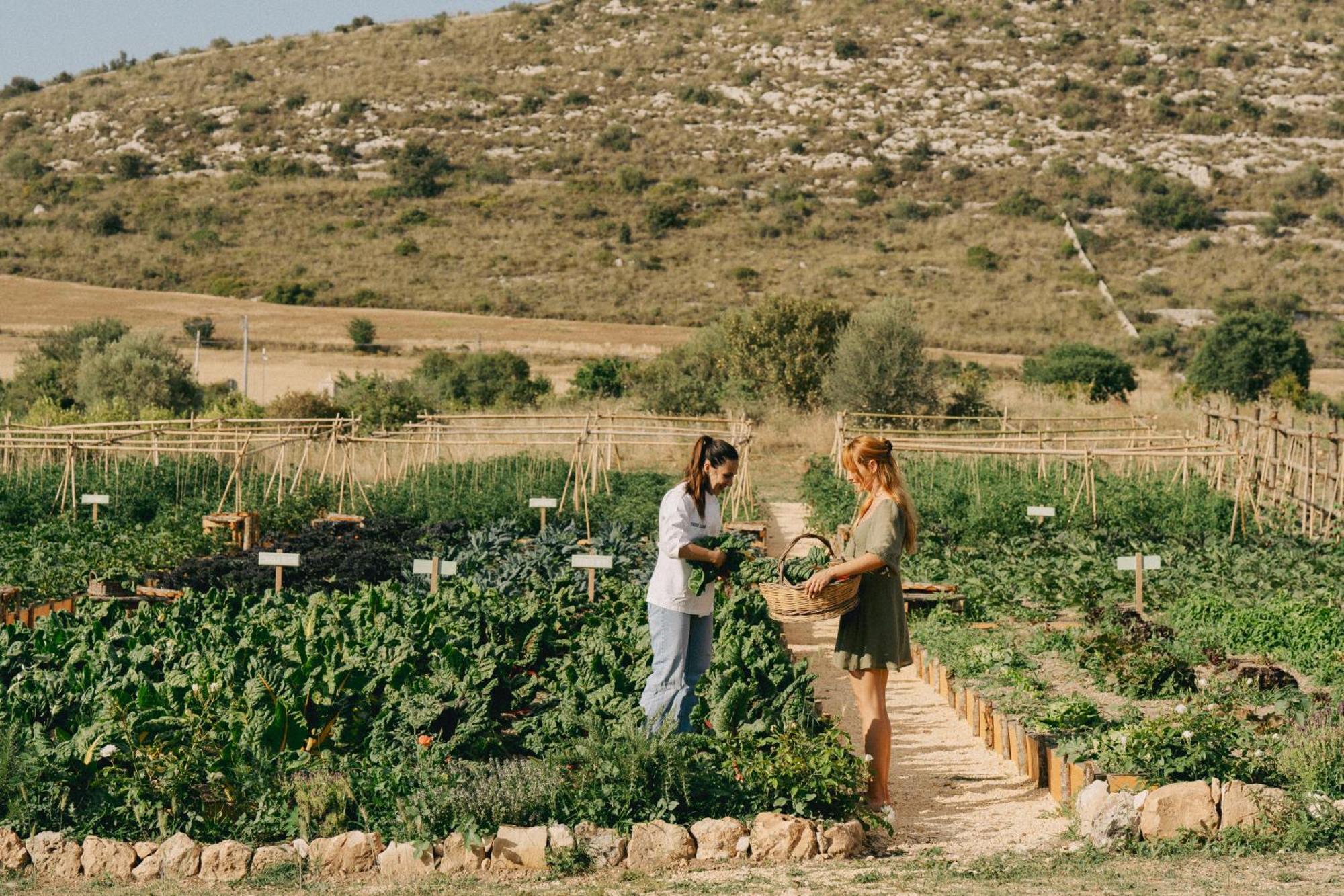 Dimora Delle Balze Agroturismo *