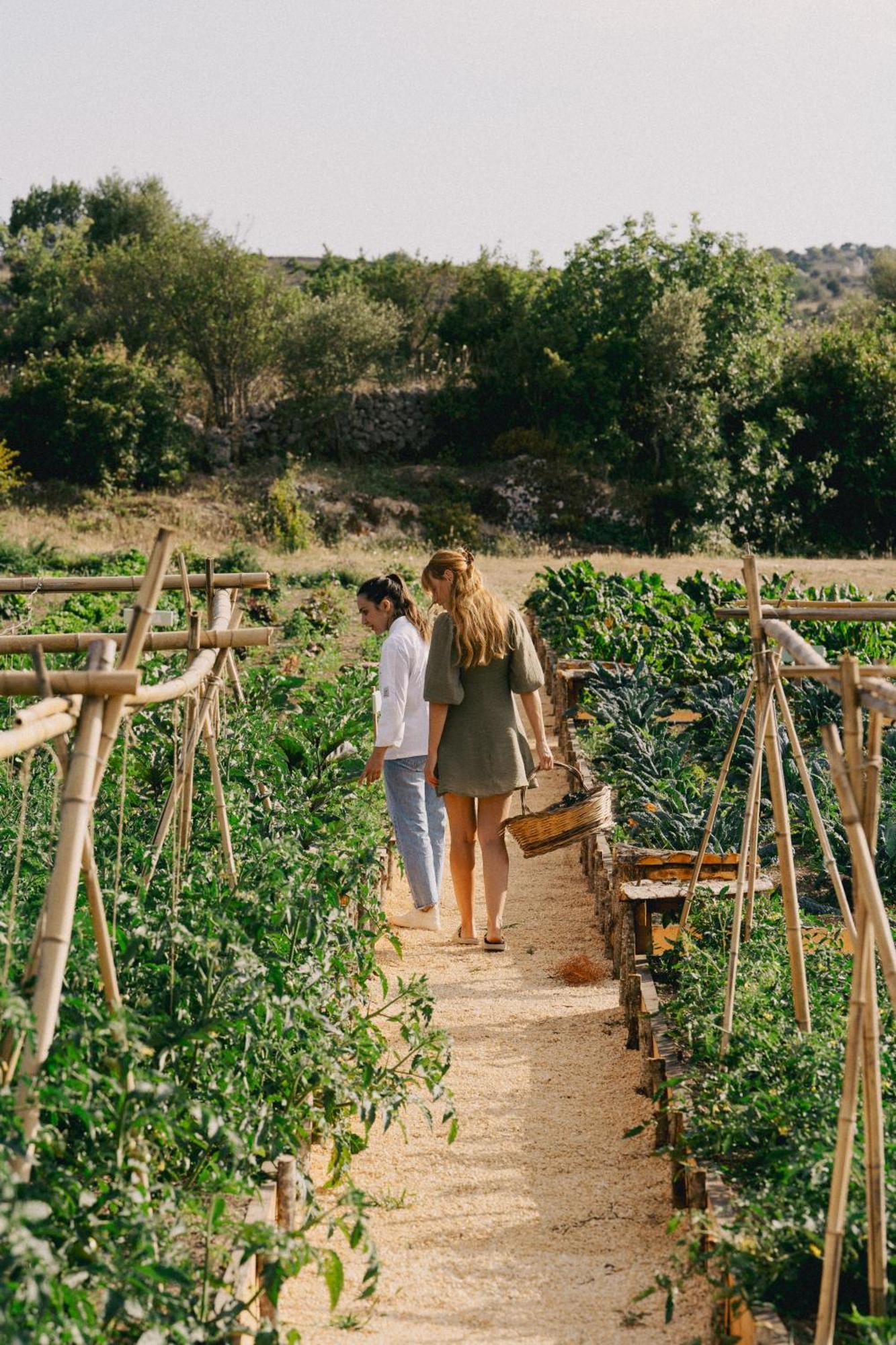 Dimora Delle Balze Farm stay Noto